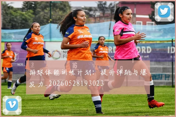排球体能训练计划：提升弹跳与爆发力_20260528193023