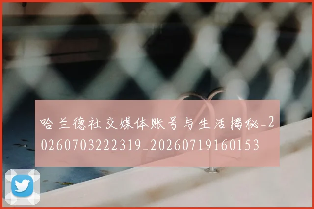 哈兰德社交媒体账号与生活揭秘_20260703222319_20260719160153