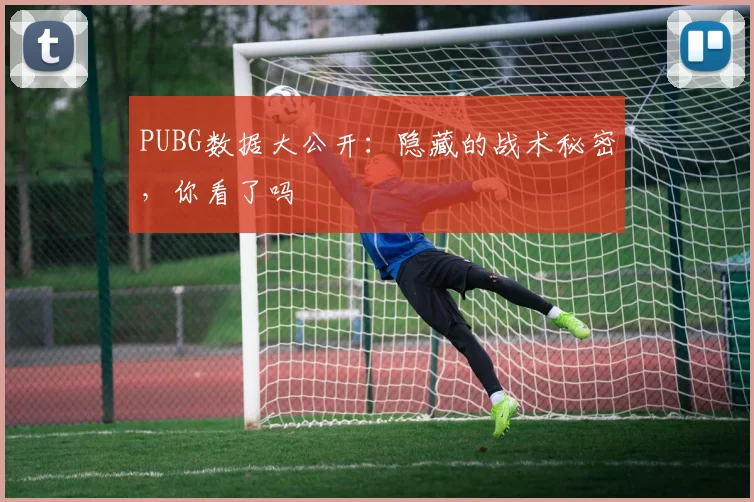 PUBG数据大公开:隐藏的战术秘密,你看了吗